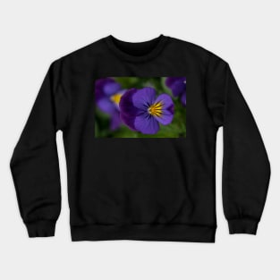 Pansy Crewneck Sweatshirt